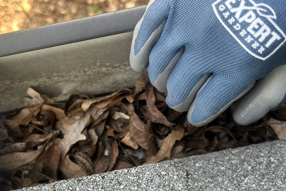 Gutter Cleaning Clayton NC