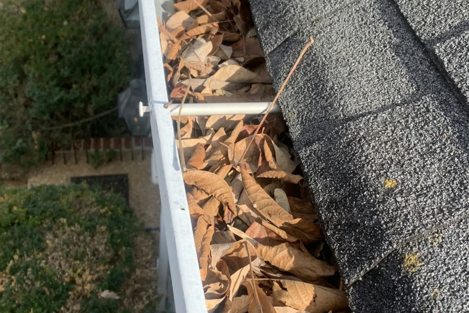 Gutter Cleaning Clayton NC