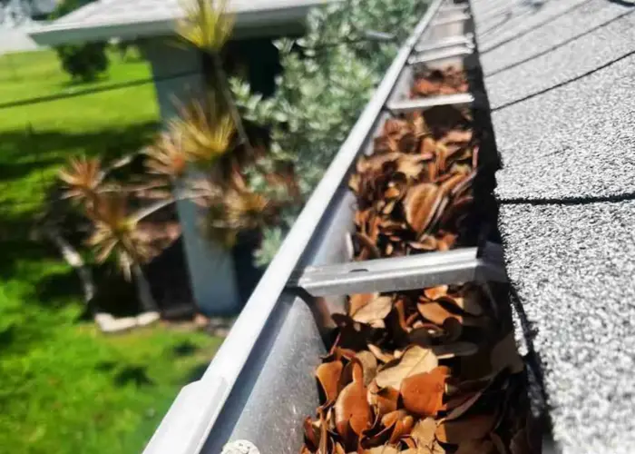 Gutter Cleaning Clayton NC home page